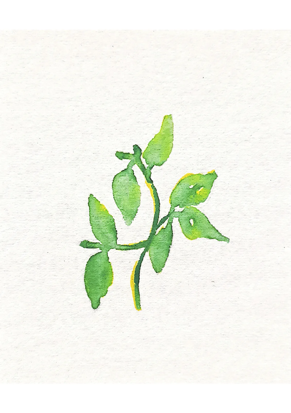 Broccoli Salad