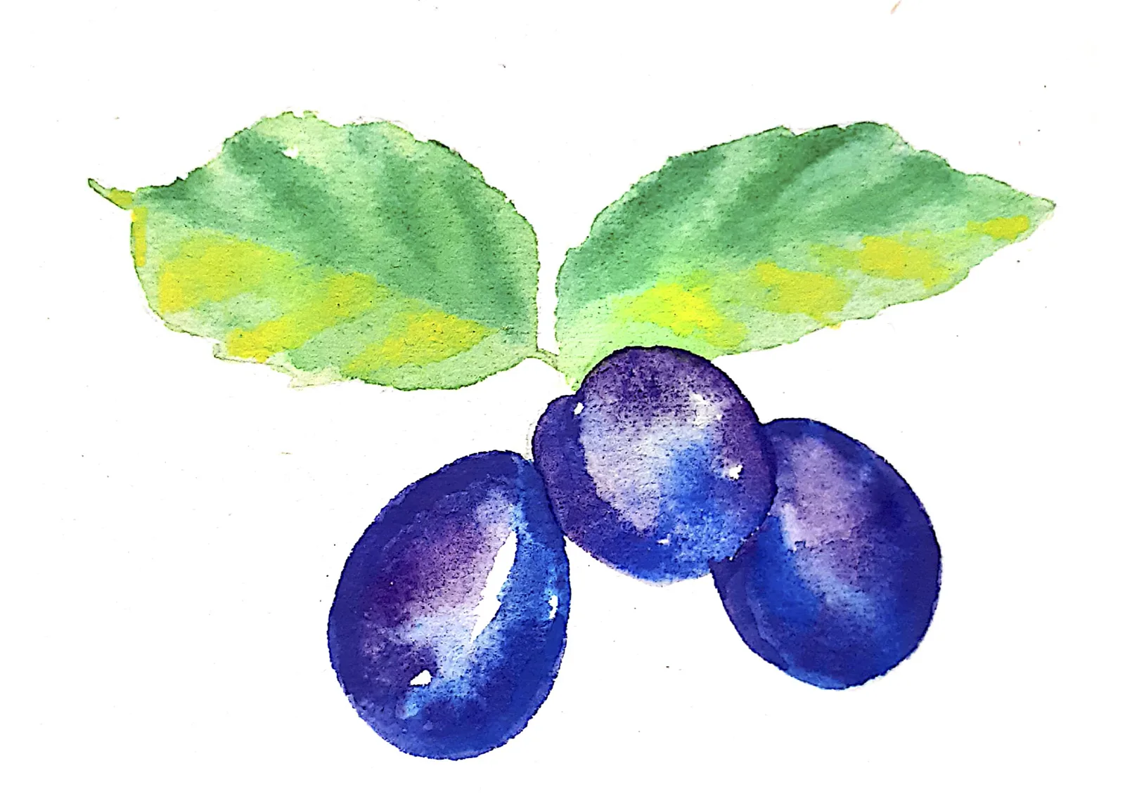 Plum Good (Conserve)